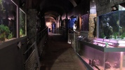 L'aquarium du Limousin version  2014